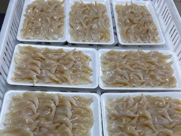 速冻漂烫鸟贝开片