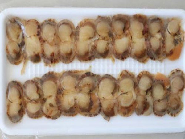 日式寿司调味帆立贝片