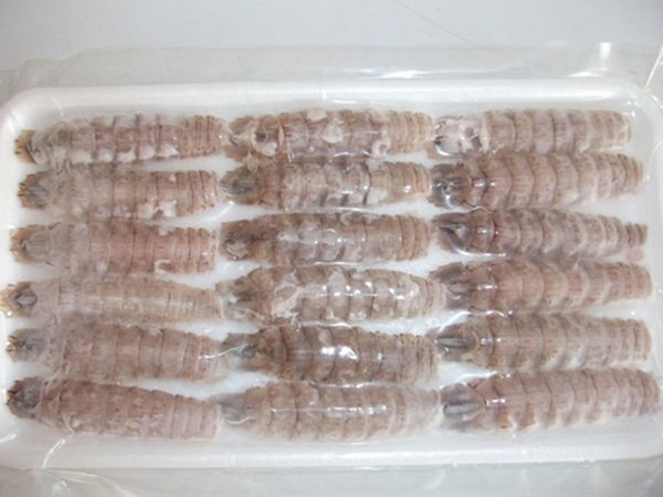 車子（寿司濑尿虾）