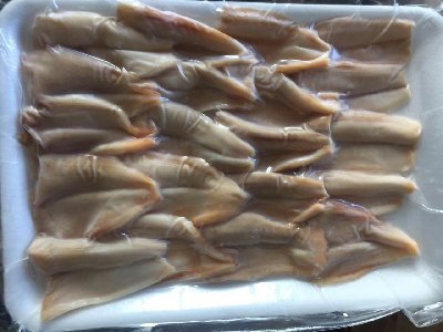 Slices of Elephant Mussel